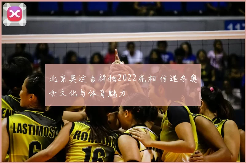 北京奥运吉祥物2022亮相 传递冬奥会文化与体育魅力
