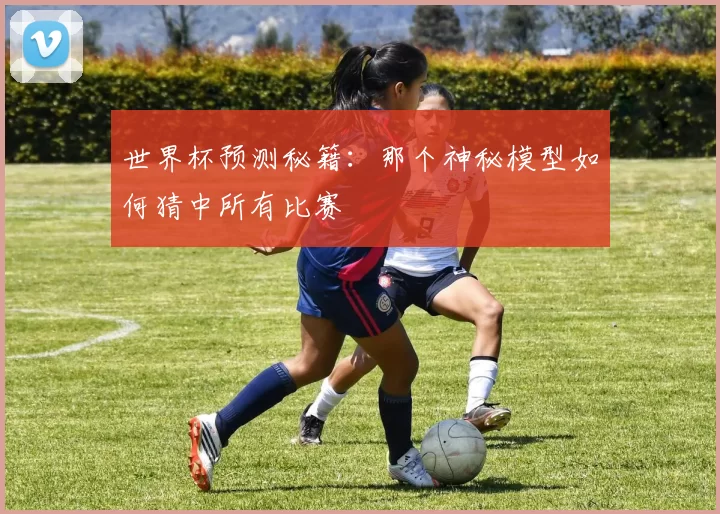 世界杯预测秘籍:那个神秘模型如何猜中所有比赛