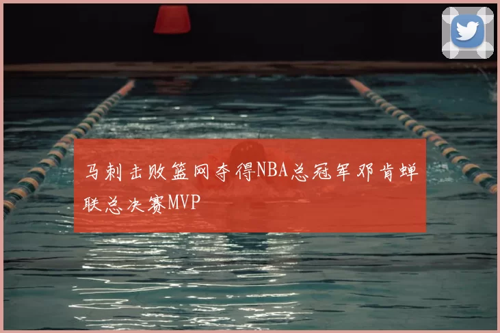 马刺击败篮网夺得NBA总冠军邓肯蝉联总决赛MVP