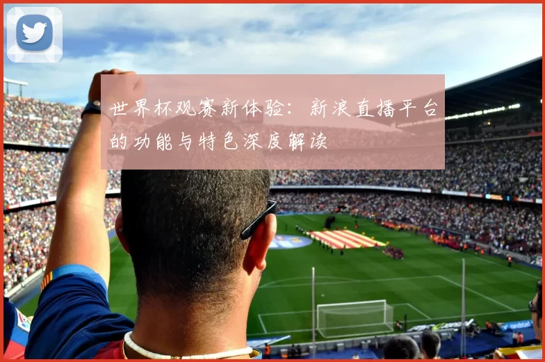 世界杯观赛新体验:新浪直播平台的功能与特色深度解读