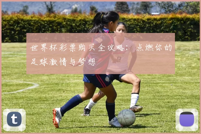 世界杯彩票购买全攻略:点燃你的足球激情与梦想