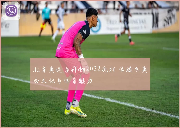 北京奥运吉祥物2022亮相 传递冬奥会文化与体育魅力