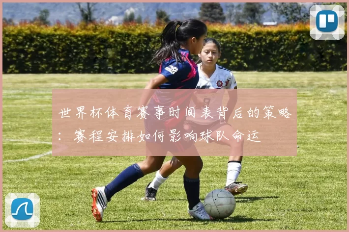 世界杯体育赛事时间表背后的策略:赛程安排如何影响球队命运