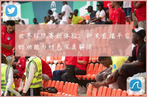 世界杯观赛新体验：新浪直播平台的功能与特色深度解读