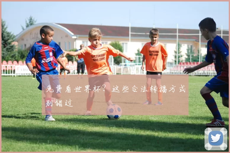 免费看世界杯?这些合法转播方式别错过