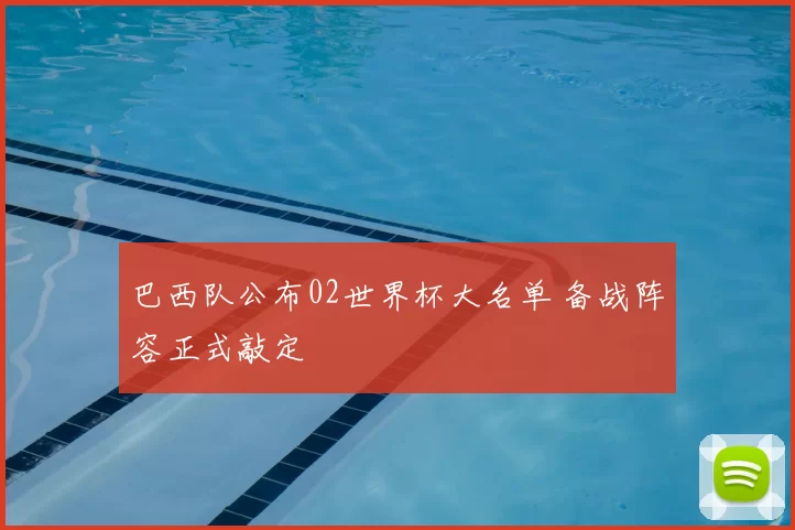 巴西队公布02世界杯大名单 备战阵容正式敲定
