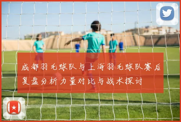 成都羽毛球队与上海羽毛球队赛后复盘分析力量对比与战术探讨