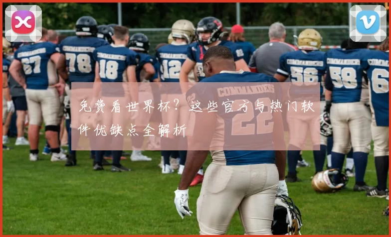 免费看世界杯?这些官方与热门软件优缺点全解析