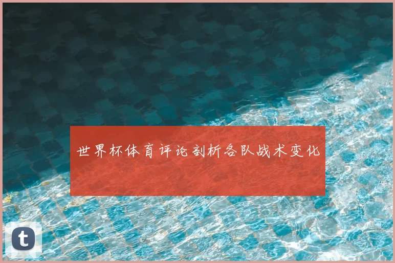 世界杯体育评论剖析各队战术变化
