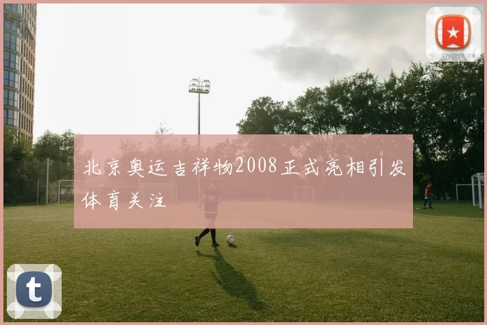 北京奥运吉祥物2008正式亮相引发体育关注