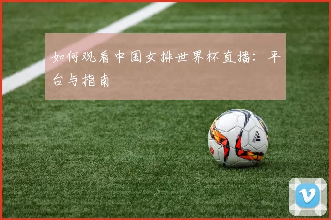 如何观看中国女排世界杯直播：平台与指南